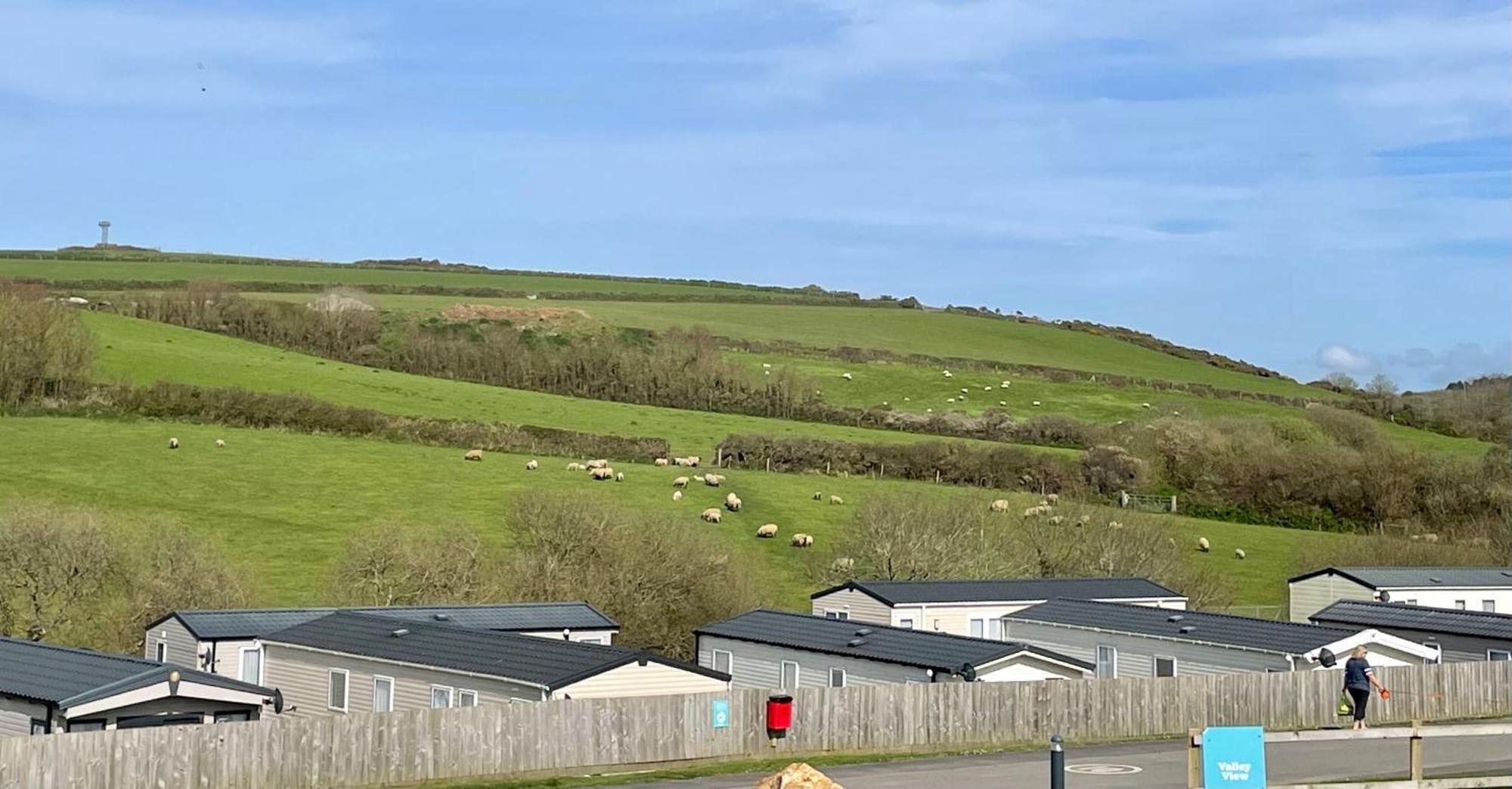 Newquay Bay Resort Sandy Toes - Pet Friendly Zewnętrze zdjęcie